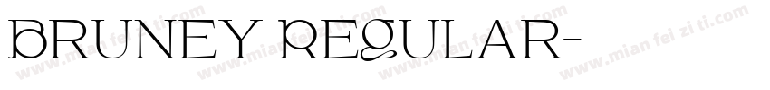 Bruney Regular字体转换